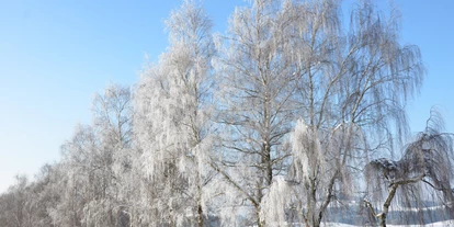 Winterhochzeit - Neumarkt im Mühlkreis - Vedahof - Gramastetten
