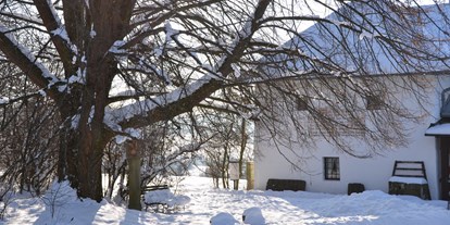 Winterhochzeit - Preisniveau: keine Angabe - Vedahof - Gramastetten
