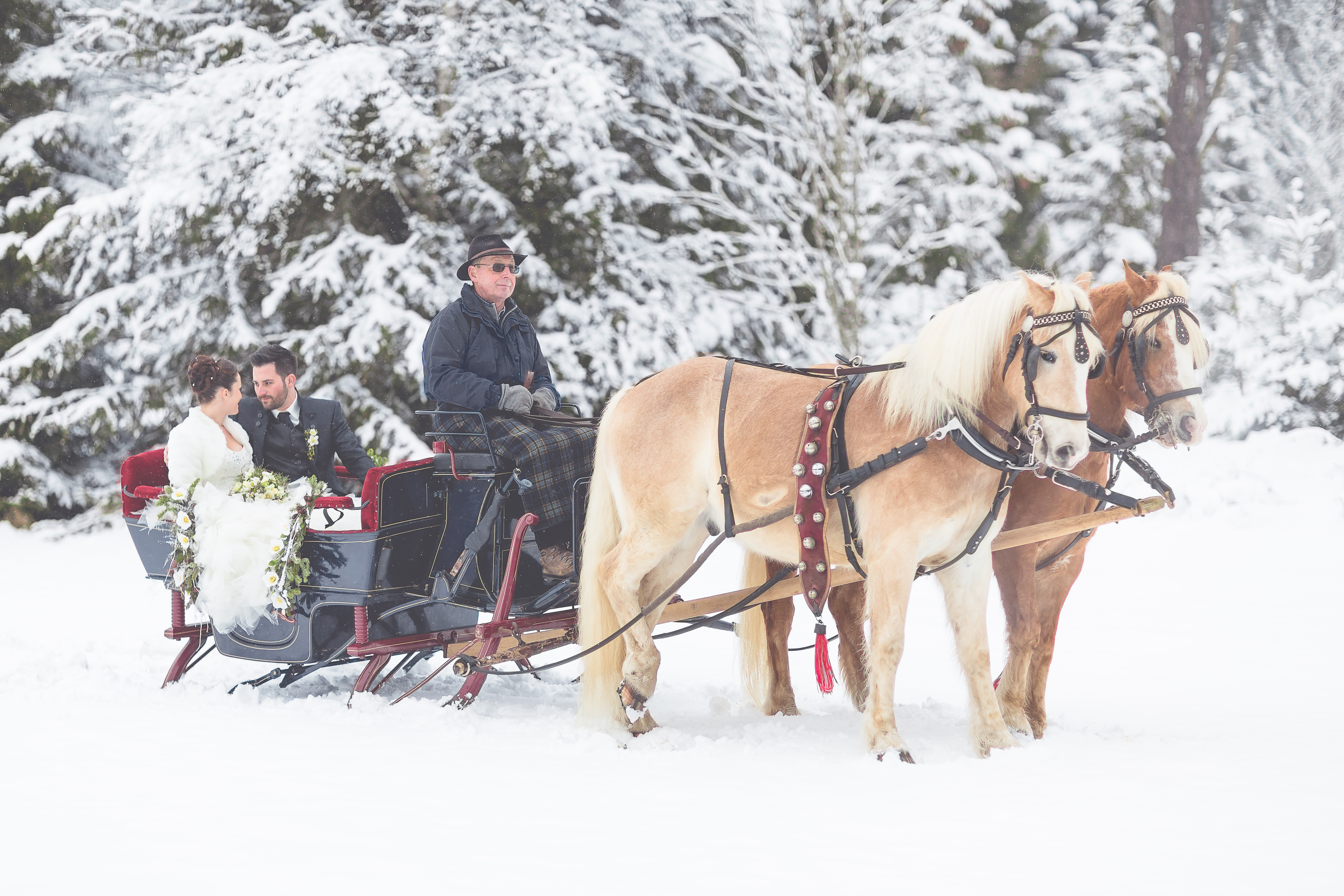 Hochzeitslocation: Soooo romantisch: mit der Pferdekutsche zur Trauung - Parkhotel Adler, Hochschwarzwald Hotelbetriebs GmbH