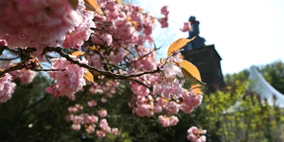 Winterhochzeit - Preisniveau: €€€ - Düsseldorf - Park - Schlosshotel Hugenpoet