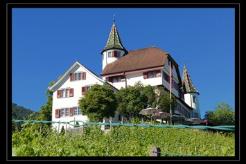 Hochzeitslocation: Schloss Weinstein - Schloss Weinstein