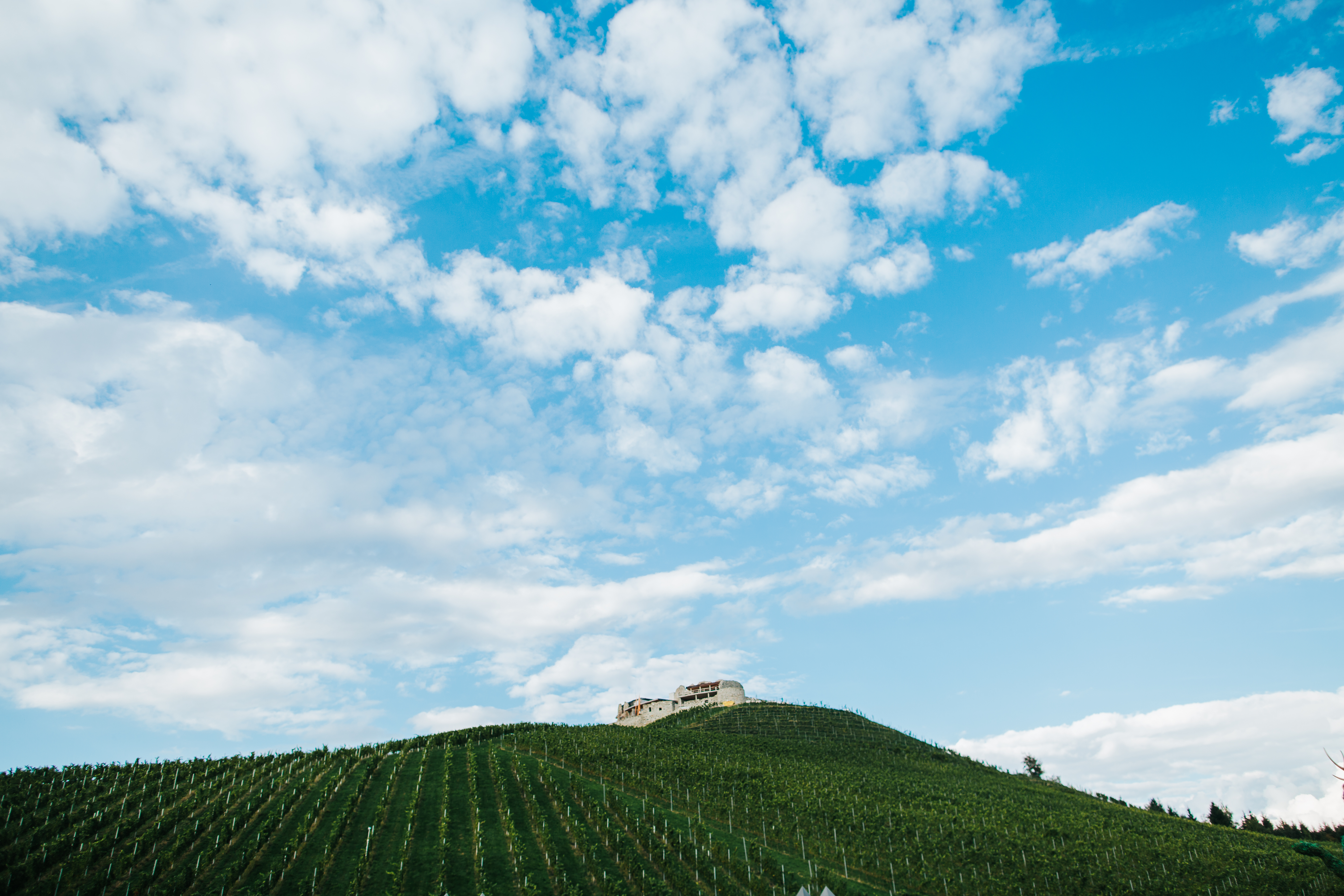 Winterhochzeit - Kärnten - Das Weingut Taggenbrunn in Kärnten. - Weingut TAGGENBRUNN
