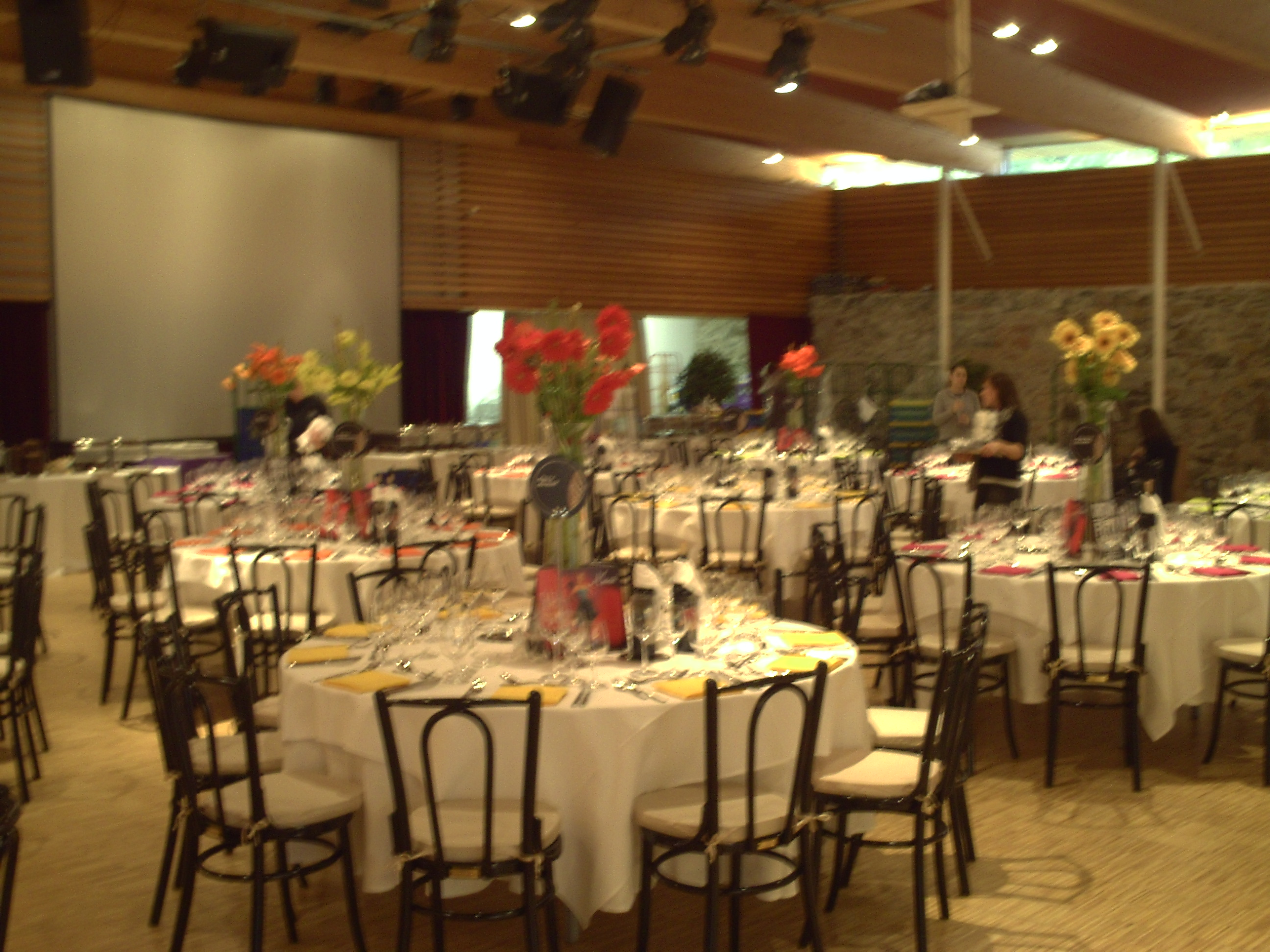 Schloss Reichenau an der Rax (NÖ) Angaben zu den Festsälen Festsaal im Schloss Reichenau an der Rax