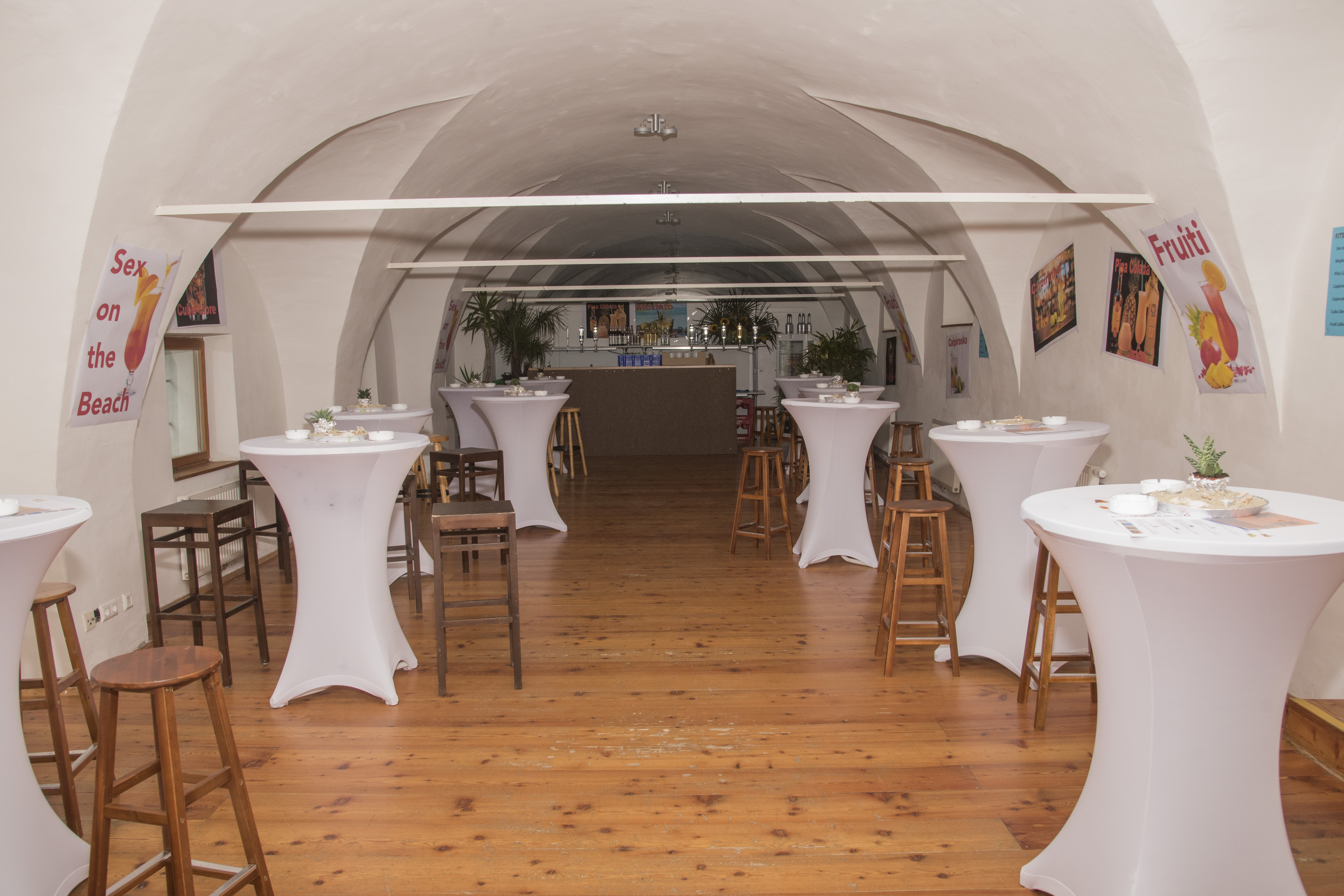 Schloss Reichenau an der Rax (NÖ) Angaben zu den Festsälen Gewölbe neben Festsaal