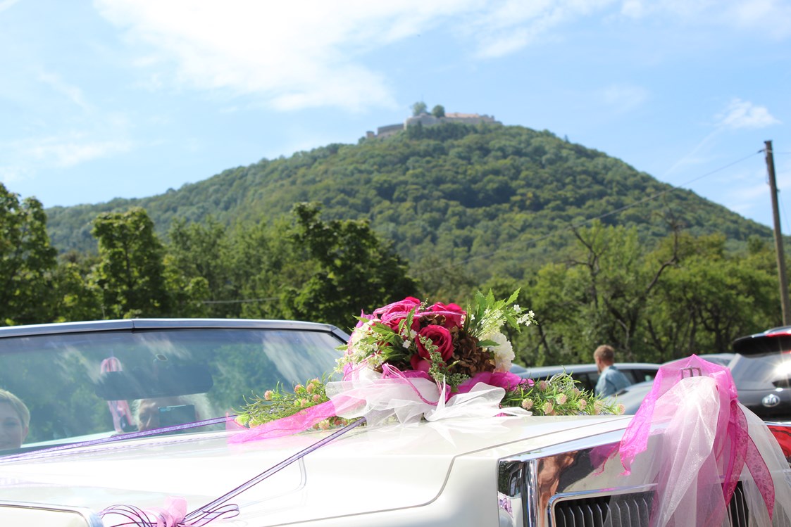 Hochzeitslocation: Unser Hochzeits auto gehört dazu .
Ein Licon Cadilac Cabrio mit Braut schmuck   - Schlosscafe Beuren & Cafe Konditorei / Hochzeits Location 
