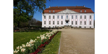 Winterhochzeit - Geeignet für: Filmproduktionen - Börnicke (Landkreis Barnim) - Außenansicht Schloss Friedrichsfelde - Schloss Friedrichsfelde
