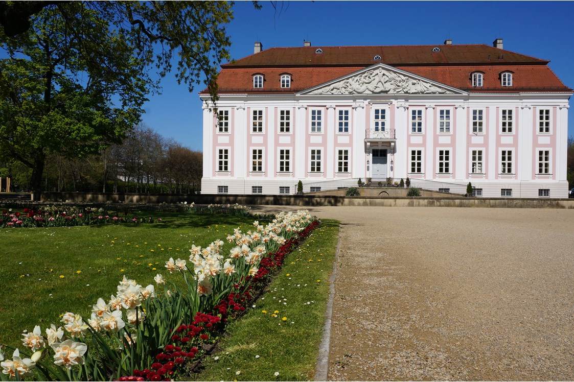 Hochzeitslocation: Außenansicht Schloss Friedrichsfelde - Schloss Friedrichsfelde