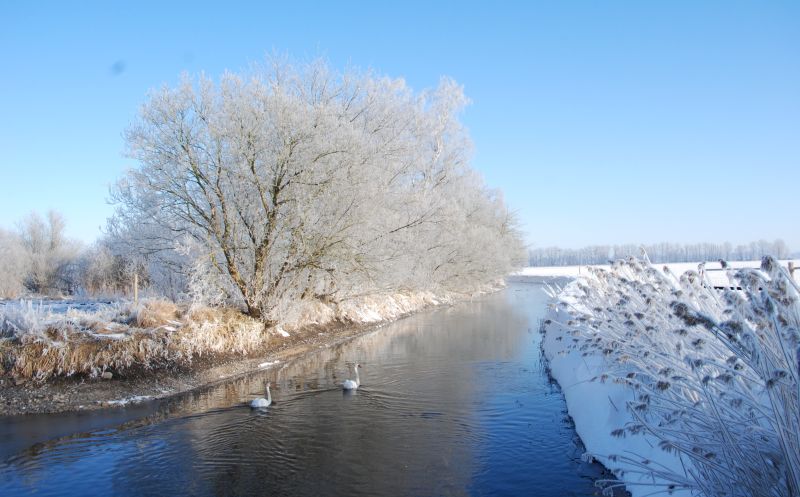 Hochzeitslocation: Jagdschloss Friedrichsmoor