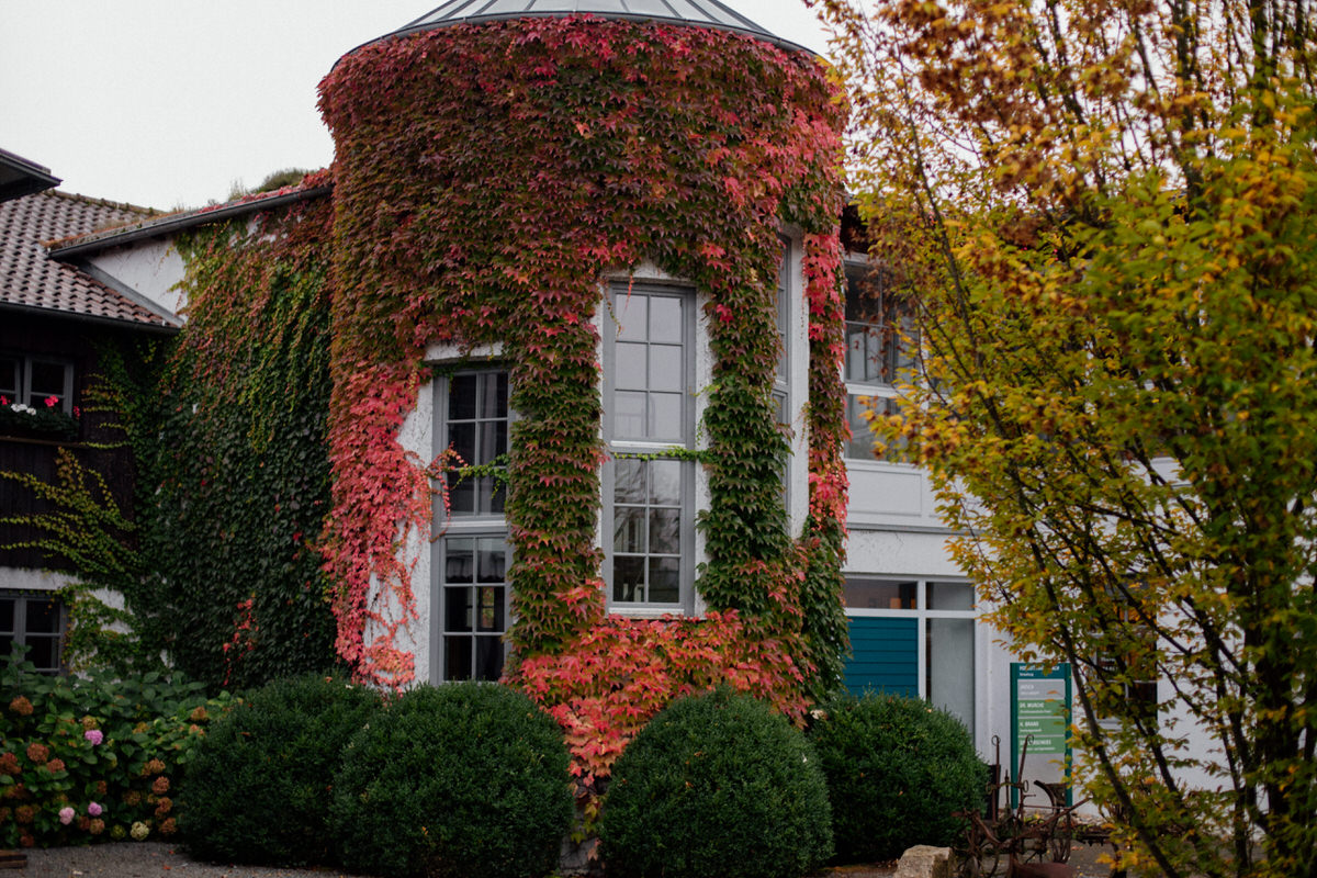 Winterhochzeit - Ludwigsburg - Bei Regen steht die "Tenne" als Schlechtwetteralternative bereit. - Hofgut Hagenbach