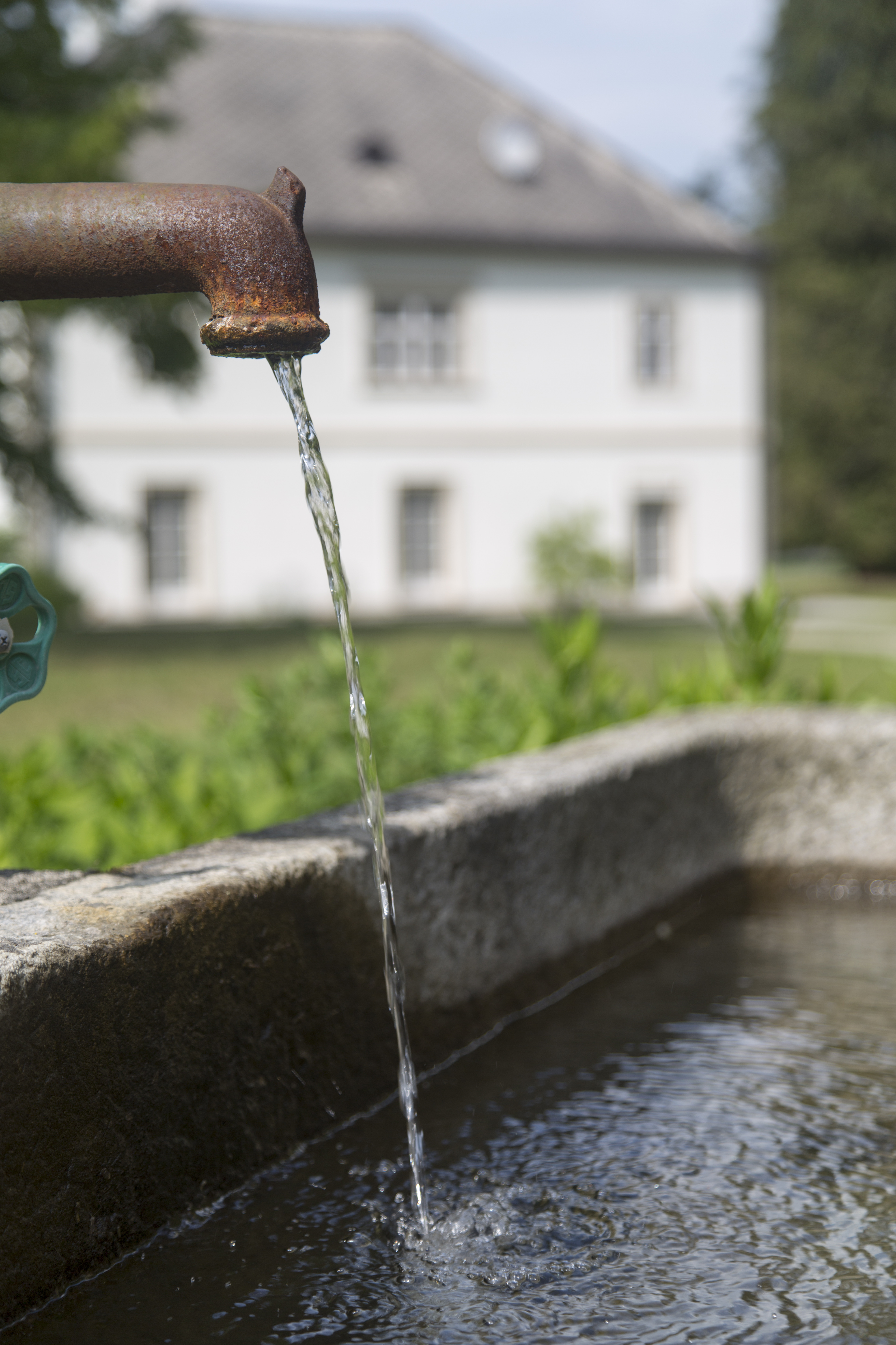 Winterhochzeit - Umgebung: in den Bergen - Schloss Ginselberg