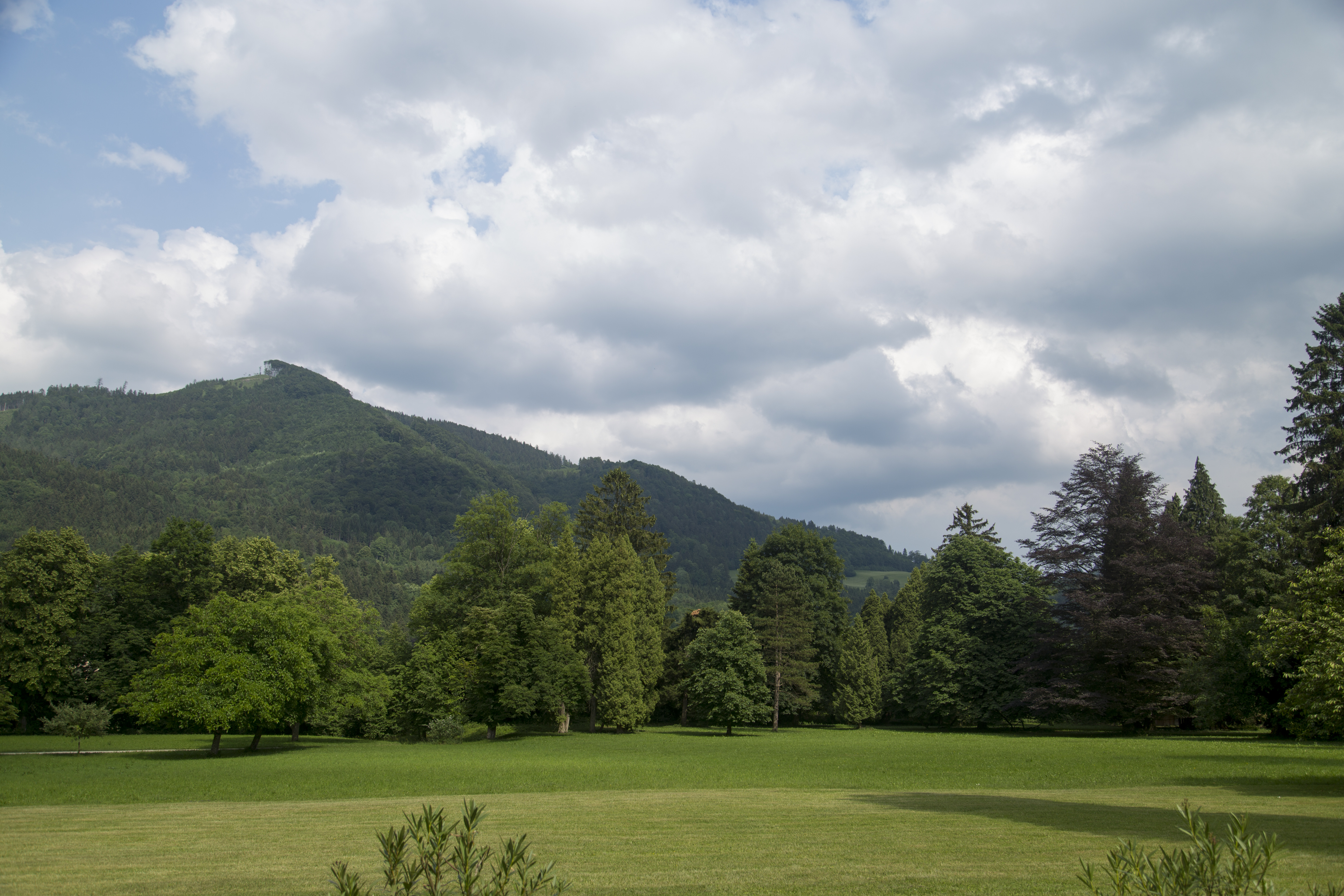 Winterhochzeit - Umgebung: in den Bergen - Schloss Ginselberg