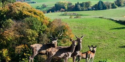 Winterhochzeit - Odenwald - Lammershof