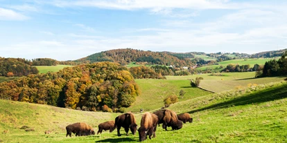 Winterhochzeit - Odenwald - Lammershof