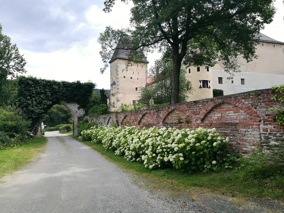 Hochzeitslocation: Burg Feistritz - Burg Feistritz