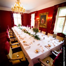 Hochzeitslocation: Der Festsaal des Schloss Thürnlhof in 1110 Wien.
Foto © greenlemon.at - Schloss Thürnlhof