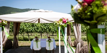 Winterhochzeit - Karlstetten - Eine Standesamtliche Trauung im Weingarten des Weingut Holzapfel Prandtauerhof in Niederösterreich. - Weingut Holzapfel Prandtauerhof
