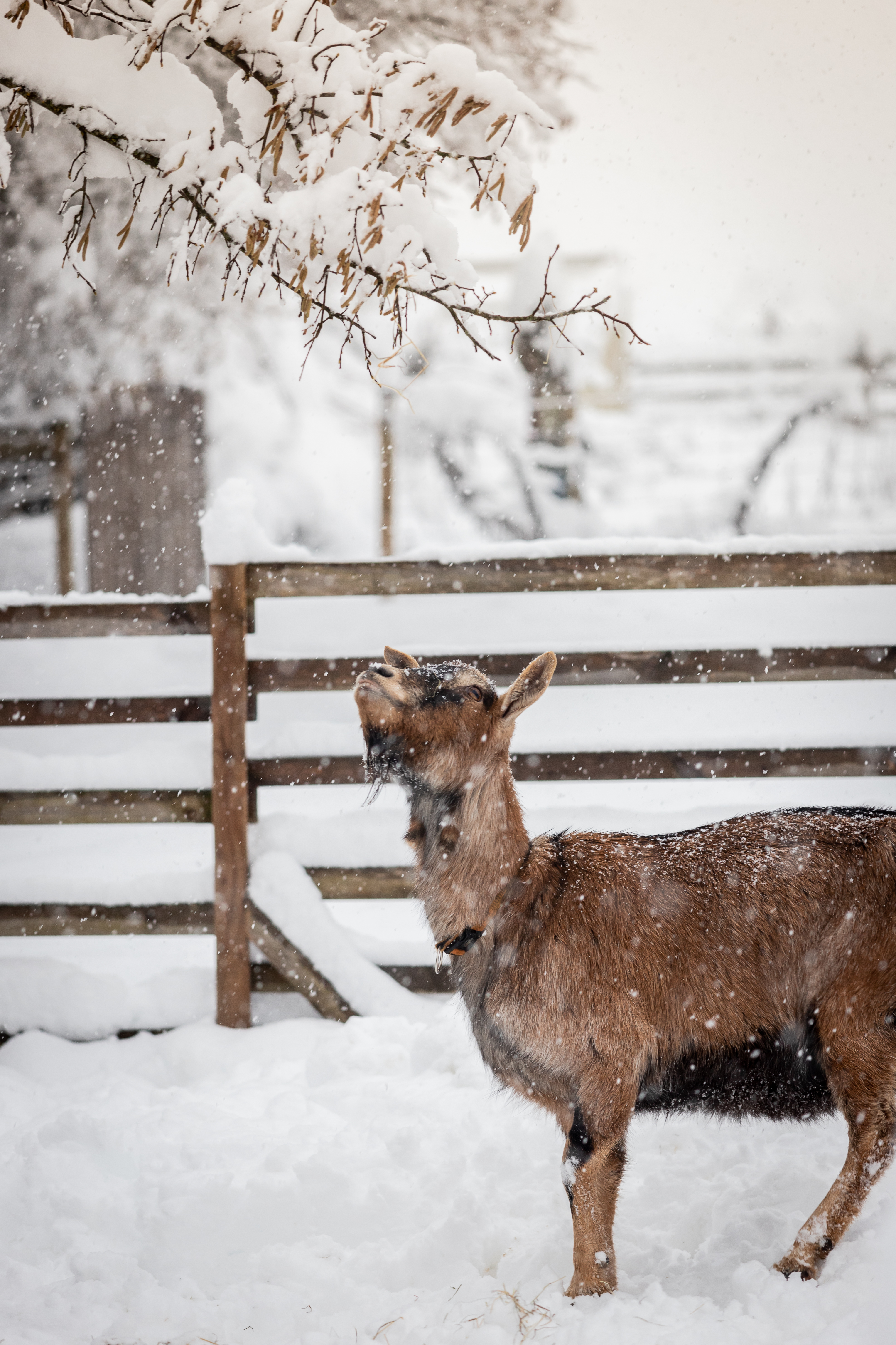 Hochzeitslocation: Schlossgut Gundersdorf