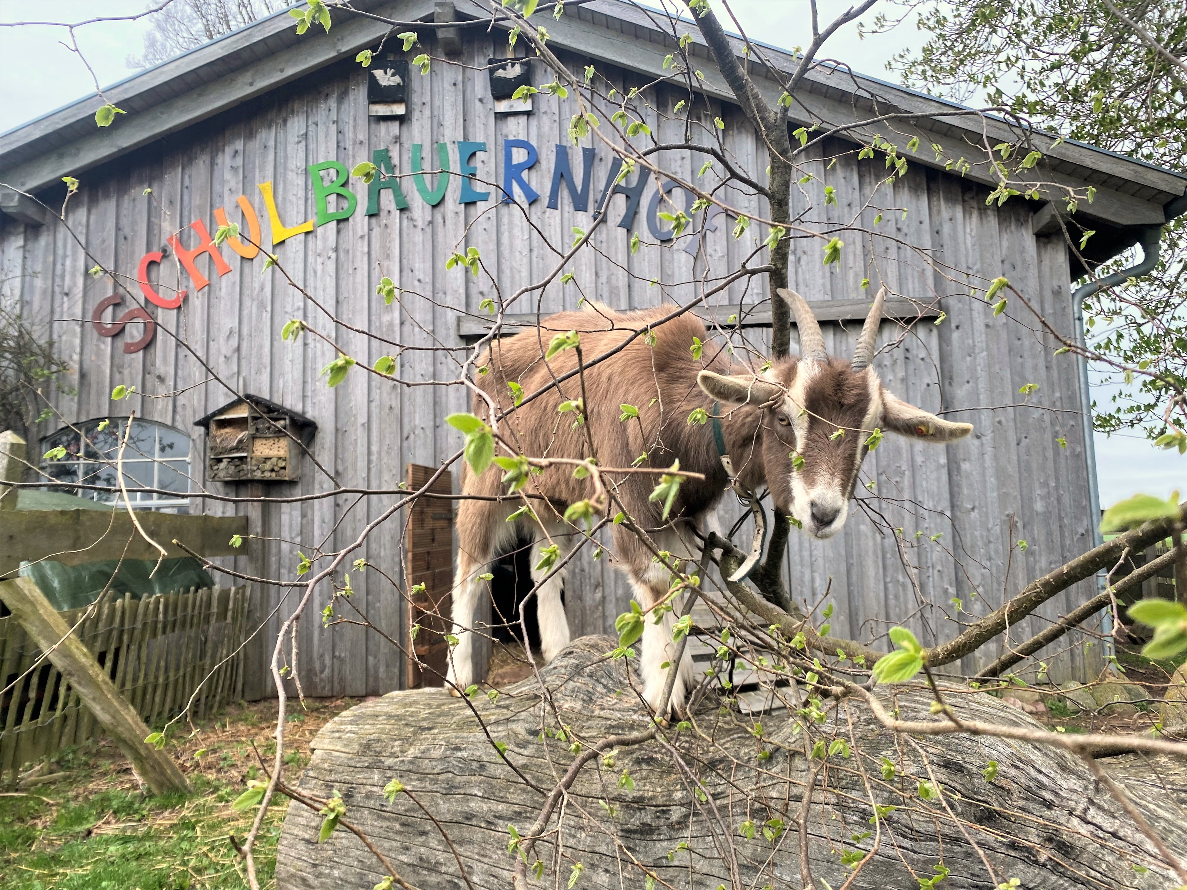 Hochzeitslocation: Gutshaus auf dem Landwert Hof