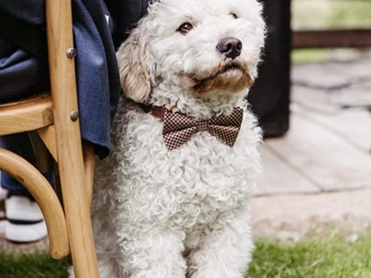 Winterhochzeit - Art der Location: Schloss - ..dogs are welcome.. - Hochzeitslocation Castel Katzenzungen
