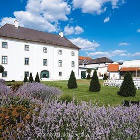 Hochzeitslocation: Das Schloss Raggendorf in 2215 Raggendorf. - Schloss Raggendorf