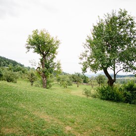 Hochzeitslocation: Traumhafte Landschaft rund um das Stift St. Georgen am Längsee. - Stift St. Georgen