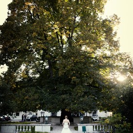Hochzeitslocation: Trauung unter der Linde.
Foto © Stefan Soeser  - Schloss Pichlarn