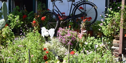 Winterhochzeit - Karlstetten - Schaugarten Duftgeranienecke - Bio Kräuterlandgasthaus mit Eventsaal für Hochzeiten