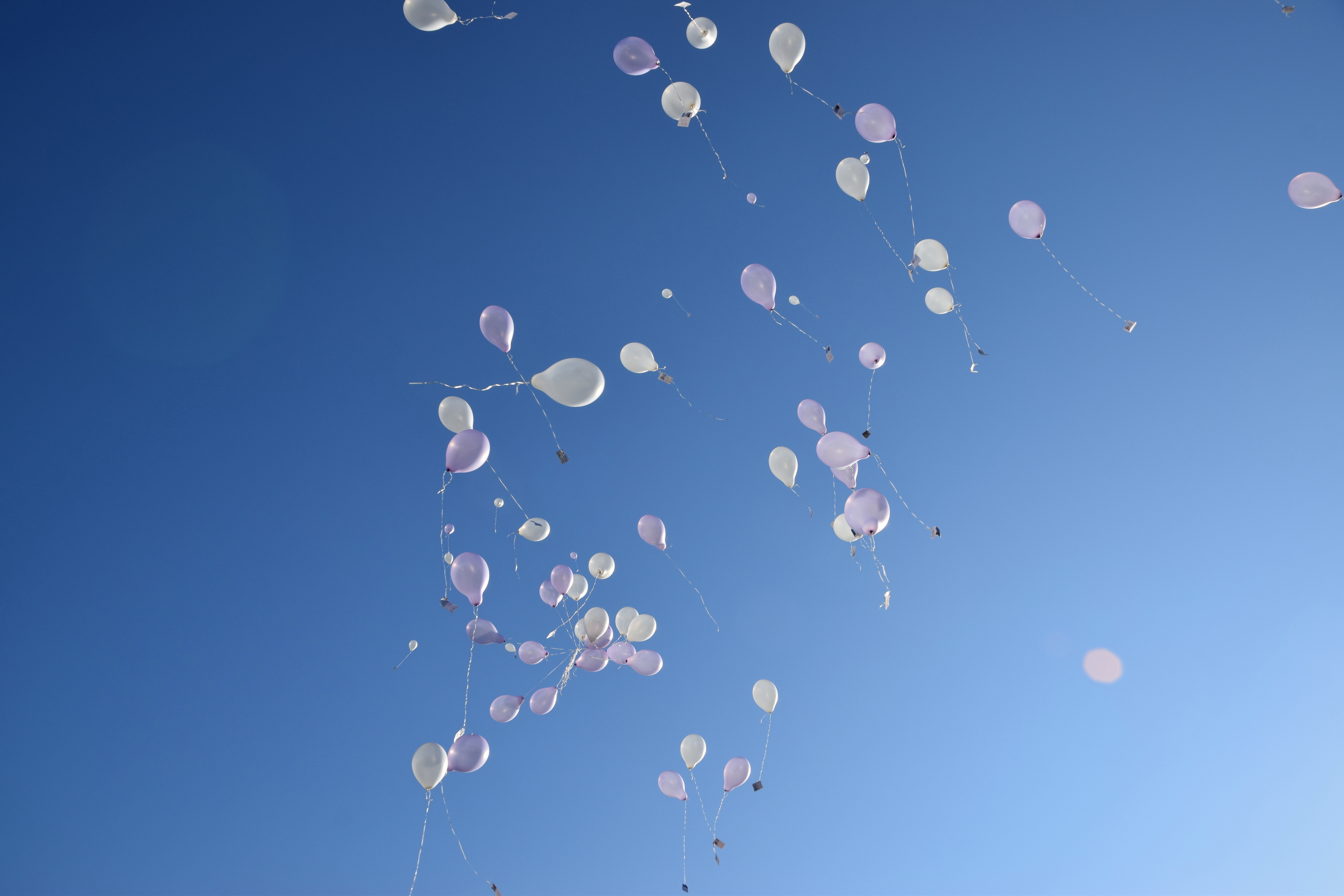 Winterhochzeit - Oberösterreich - Hotel Restaurant Häupl