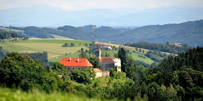 Winterhochzeit - Neumarkt im Mühlkreis - Einsam, mitten in den grünen Hügeln des Mühlviertels, nur 20 Autominuten von Linz - das stille Schloss Eschelberg - Schloss Eschelberg