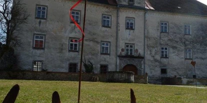 Winterhochzeit - Neumarkt im Mühlkreis - Eigene Kapelle, standesamtliche Heirat oder individuelle Hochzeitsrituale - Schloss Eschelberg