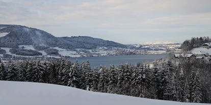 Winterhochzeit - Abtenau - Blick auf den Attersee. - Feldbauernhof