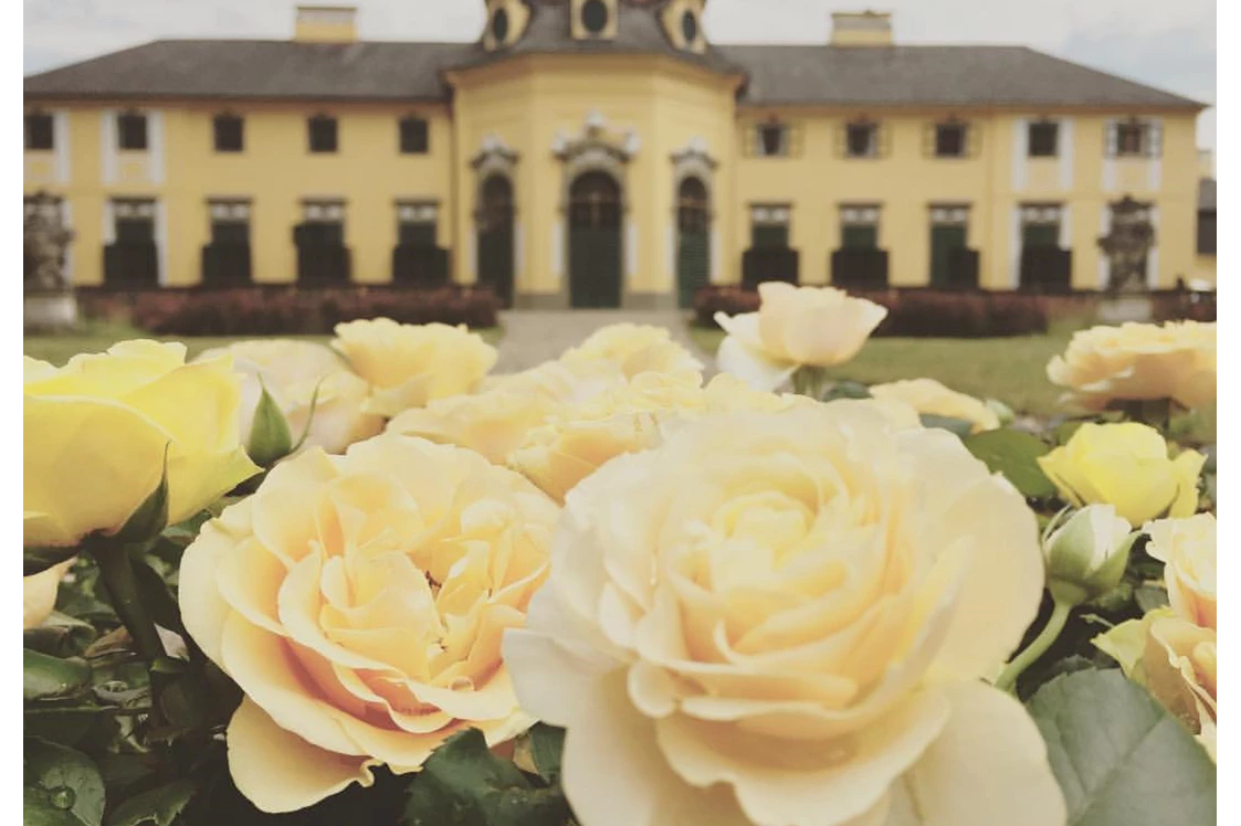 Hochzeitslocation: Schloss Neuwartenburg