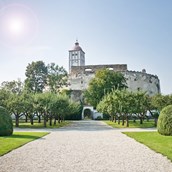 Hochzeitslocation - Renaissancegarten - Schallaburg