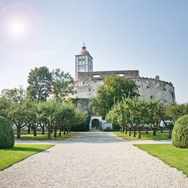 Hochzeitslocation: Renaissancegarten - Schallaburg