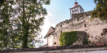 Winterhochzeit - Karlstetten - Renaissancegarten - Schallaburg
