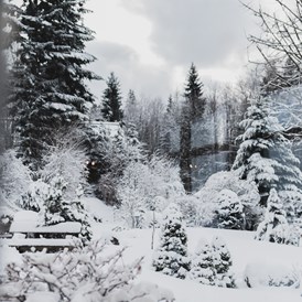 Hochzeitslocation: Unser Naturgarten im Winter - Ansitz Wartenfels