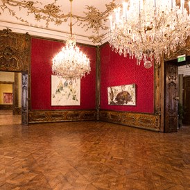 Hochzeitslocation: Der Roter Salon des Palais Schönborn-Batthyány in Wien. - Palais Schönborn-Batthyány