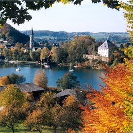 Hochzeitslocation: Blick auf das Schloss Mattsee im Herbst. - Schloss Mattsee