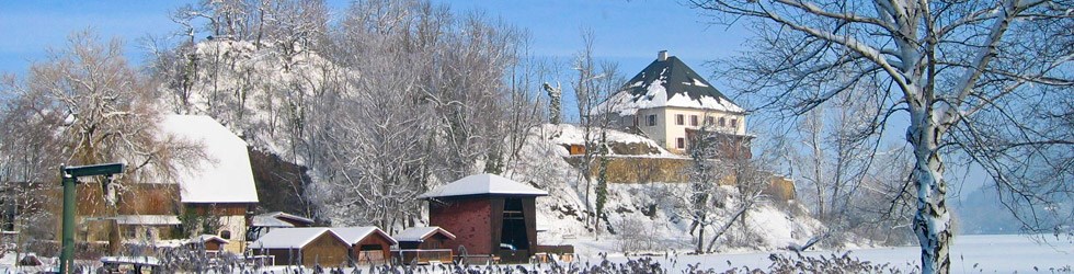 Hochzeitslocation: Das Schloss im Winter vom der Weyerbucht aus - Schloss Mattsee