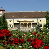 Hochzeitslocation - Blick vom Rosengarten auf die Schloss Weikersdorfer Rosenterrasse.  - Hotel Schloss Weikersdorf