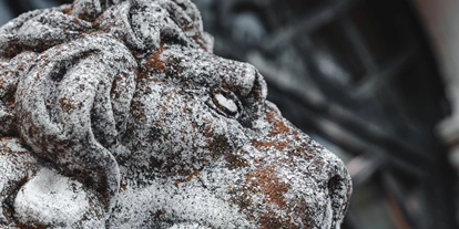 Winterhochzeit - Art der Location: Schloss - Schloss Greifenburg