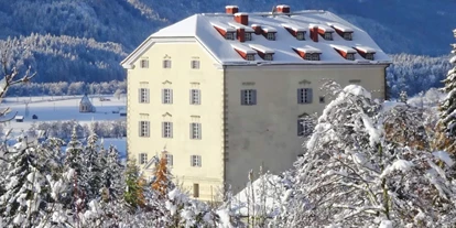Winterhochzeit - Art der Location: Schloss - Schloss Greifenburg