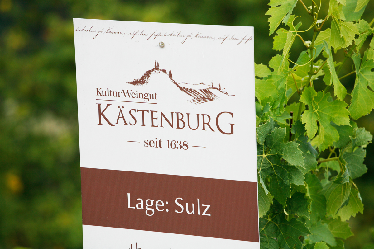 Hochzeitslocation: KulturWeingut Kästenburg