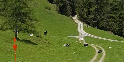 Winterhochzeit - Tirol - Herzebner Alm