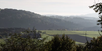 Winterhochzeit - Neumarkt im Mühlkreis - Feiern Sie Ihre Hochzeit mit einem herrlichen Weitblick über das Mühlviertel. - Schloss Restaurant Hagenberg