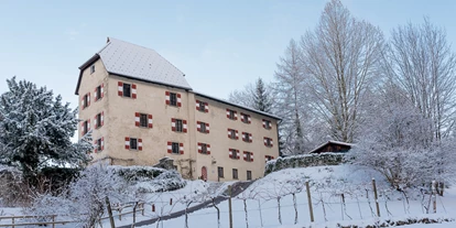 Winterhochzeit - Art der Location: Schloss - Schloss Amberg
