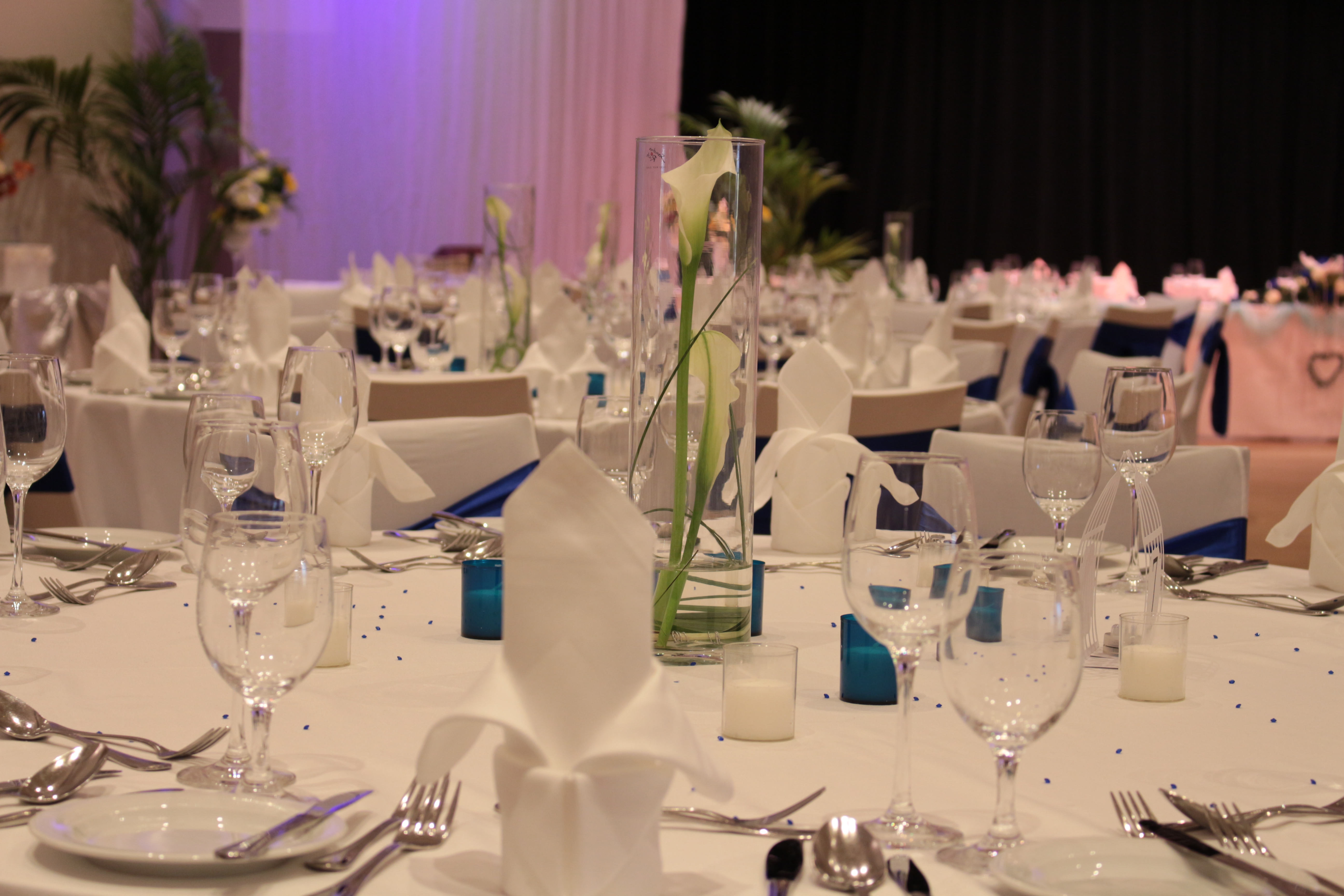 Winterhochzeit - Wien-Stadt Innere Stadt - Bruno