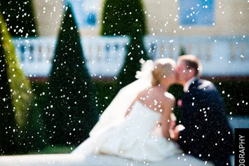 Hochzeitslocation: Heiraten im Schlossgarten des Schloss Hof in Niederösterreich.
Foto © greenlemon.at - Schloss Hof