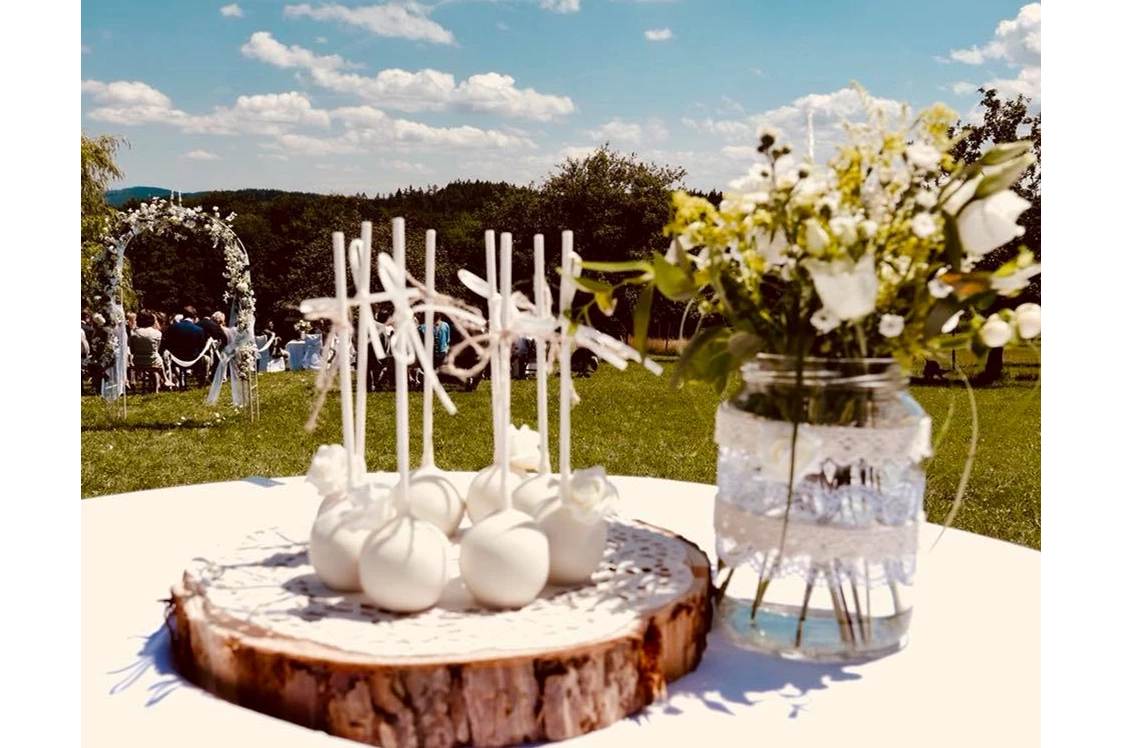 Hochzeitslocation: Unsere cakepops  https://mirli.at/mirli-feiert/ - Mirli