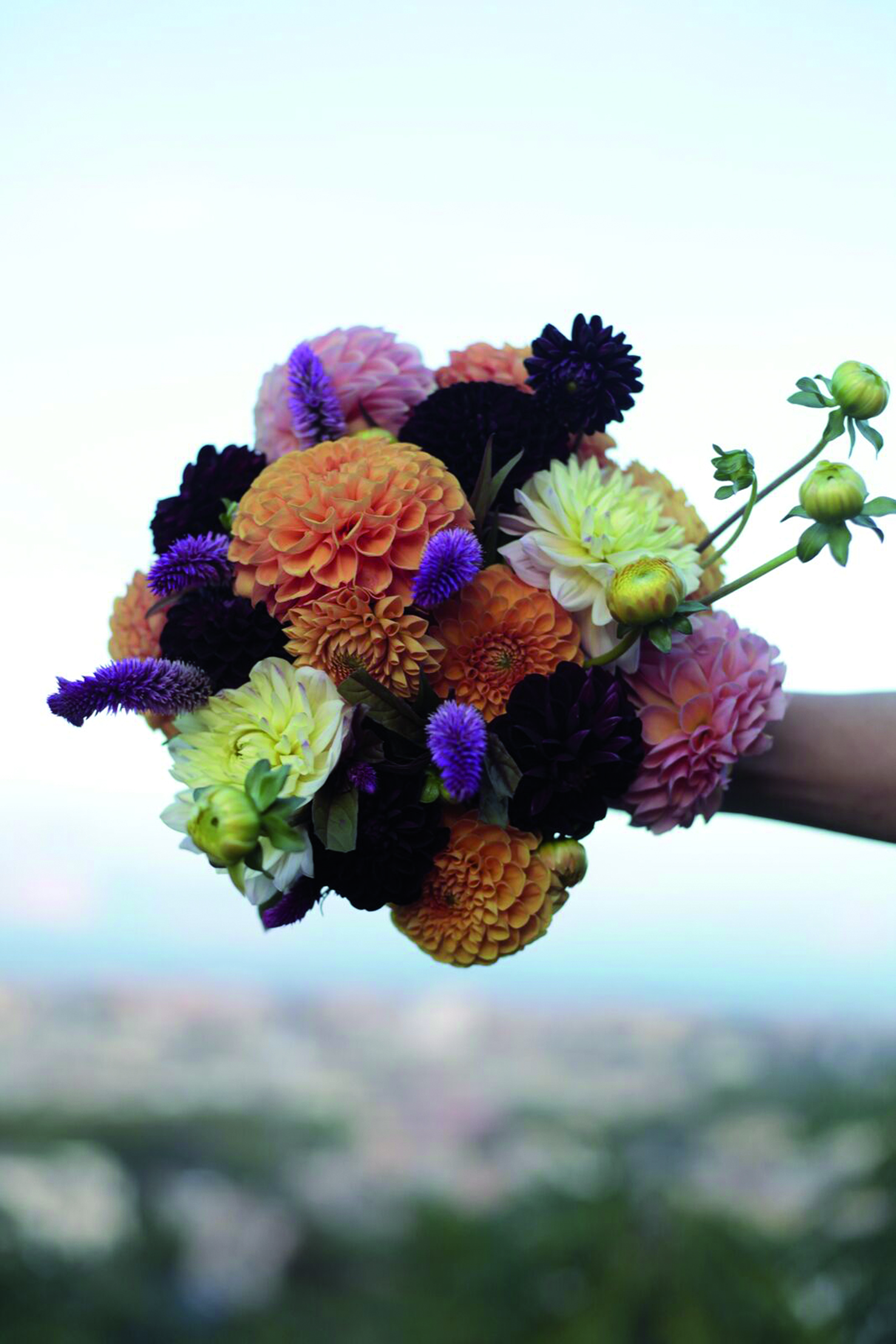 Hochzeitslocation: Il Ciliegio